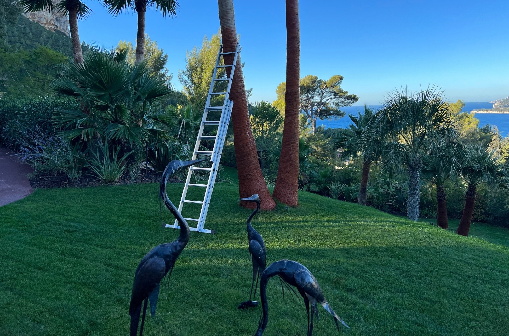 Paysagiste entretien jardin Marseille Tony Manukievitch