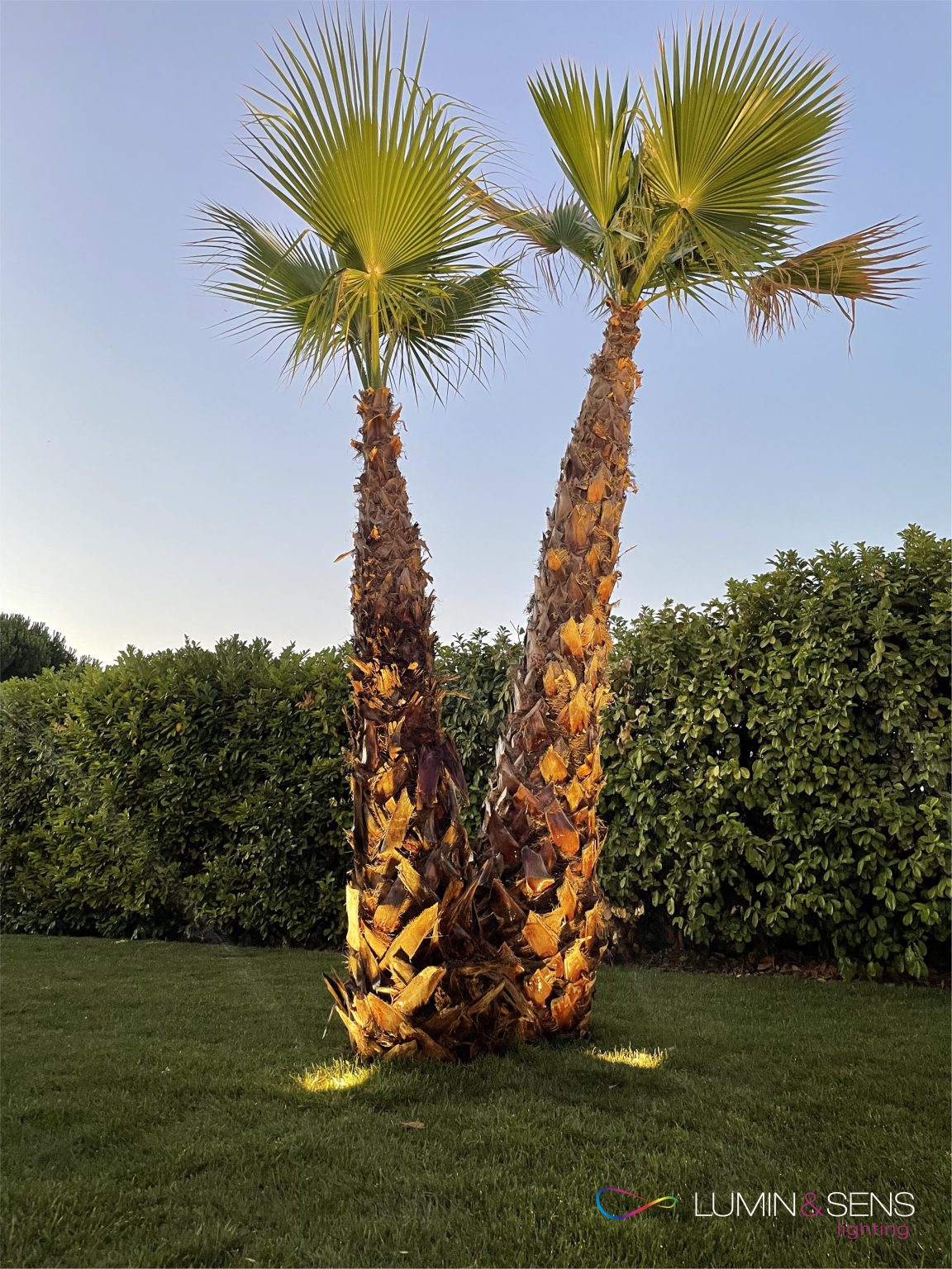 Installation éclairage extérieur paysagiste marseille et Lumin sens